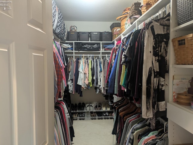 508 Snowy Egret Dr, Huron, OH 44839 - spacious closet featuring carpet
