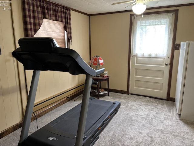 87 E Township Road 143, Tiffin, OH 44883 - workout area with ornamental molding, ceiling fan, carpet floors, and baseboards