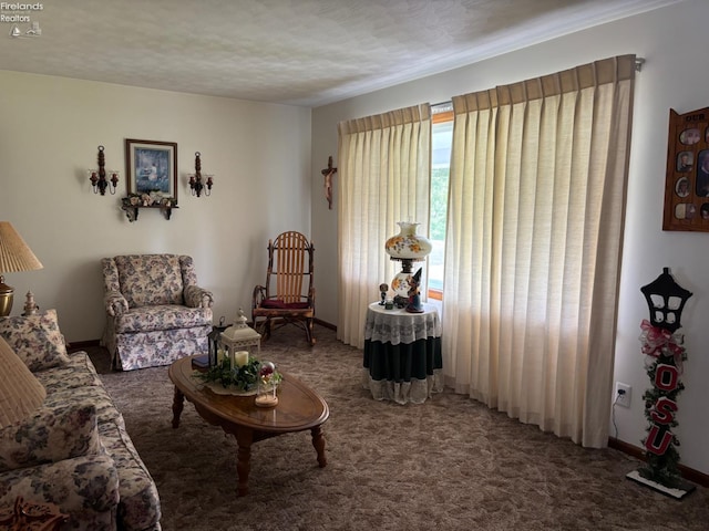 87 E Township Road 143, Tiffin, OH 44883 - view of carpeted living area