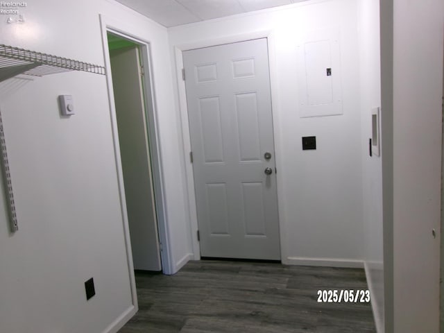 126 E Ottawa St, Oak Harbor, OH 43449 - hallway with electric panel, dark wood finished floors, and baseboards