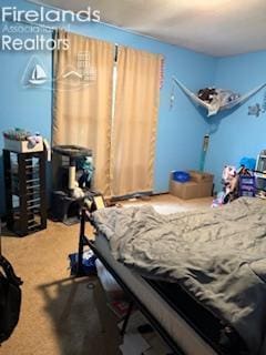 5890 E Sr 18, Republic, OH 44867 - view of carpeted bedroom