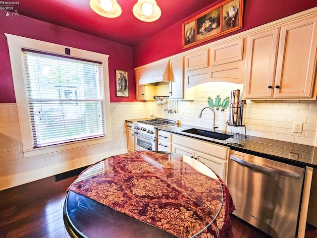 133 E Forest St, Clyde, OH 43410 - kitchen with appliances with stainless steel finishes, a sink, healthy amount of natural light, and custom range hood