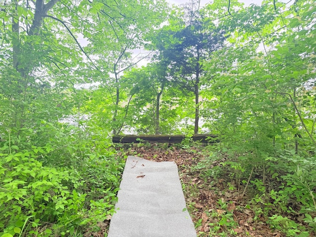 9343 E Bayshore Rd, Marblehead, OH 43440 - view of home's community