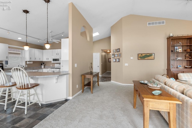 6485 E Harbor Rd Unit 38, Marblehead, OH 43440 - living room with lofted ceiling, baseboards, track lighting, and dark carpet