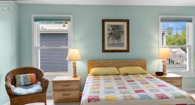 6485 E Harbor Rd Unit 38, Marblehead, OH 43440 - bedroom with multiple windows, baseboards, and carpet