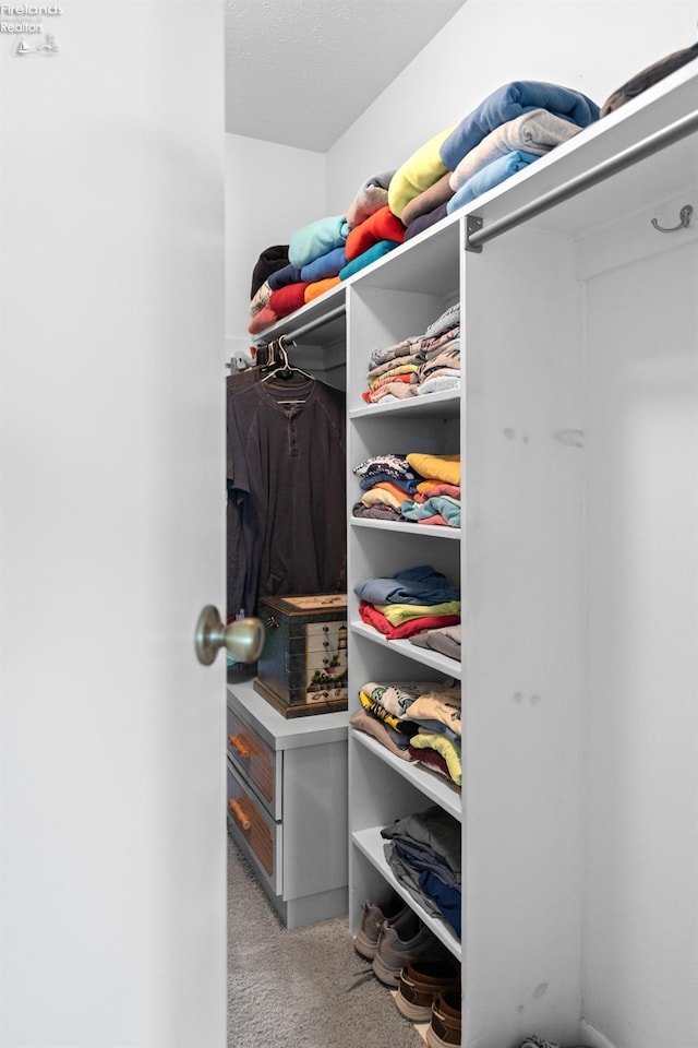 6485 E Harbor Rd Unit 38, Marblehead, OH 43440 - spacious closet with carpet flooring