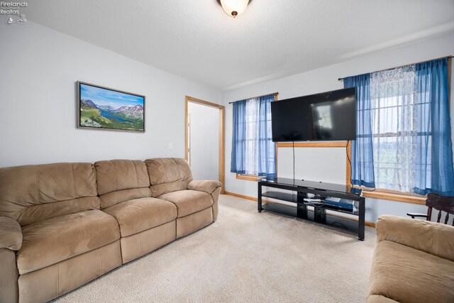 4936 Gibbs Rd, Norwalk, OH 44857 - living area featuring carpet floors and baseboards
