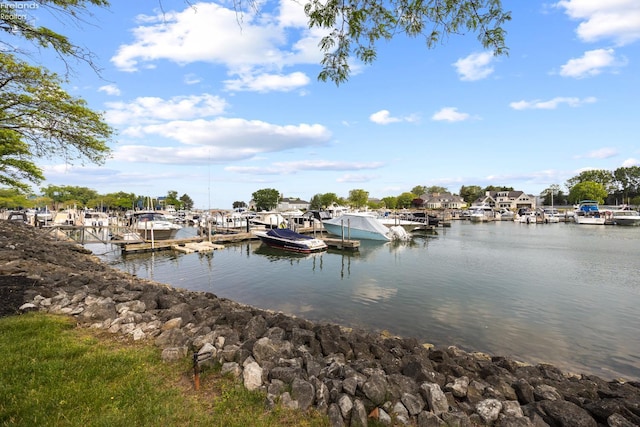 4370 Marin Woods Dr Unit D, Port Clinton, OH 43452 - dock with a water view