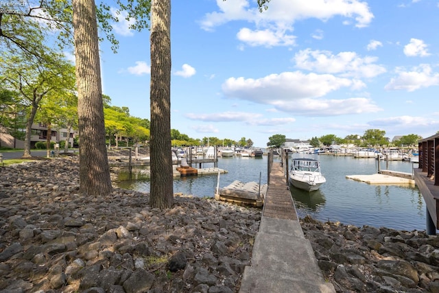 4370 Marin Woods Dr Unit D, Port Clinton, OH 43452 - dock area featuring a water view