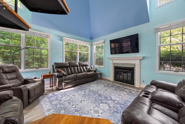 4370 Marin Woods Dr Unit D, Port Clinton, OH 43452 - living room featuring a high ceiling, wood finished floors, a glass covered fireplace, and baseboards