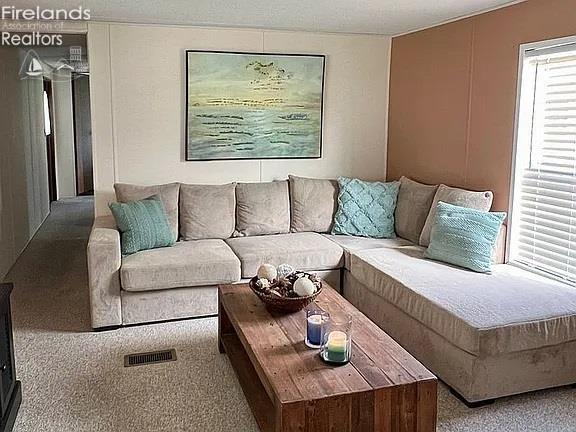 3575 NE Catawba Rd Unit 5, Port Clinton, OH 43452 - living area featuring carpet flooring