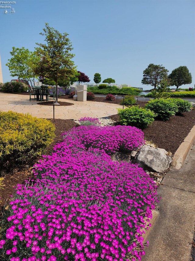 1807 E Perry St Unit 69, Port Clinton, OH 43452 - view of property's community featuring a patio area