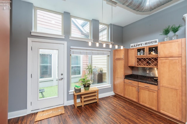 1402 Newman Ave, Lakewood, OH 44107 - bar area featuring dark wood finished floors and decorative backsplash
