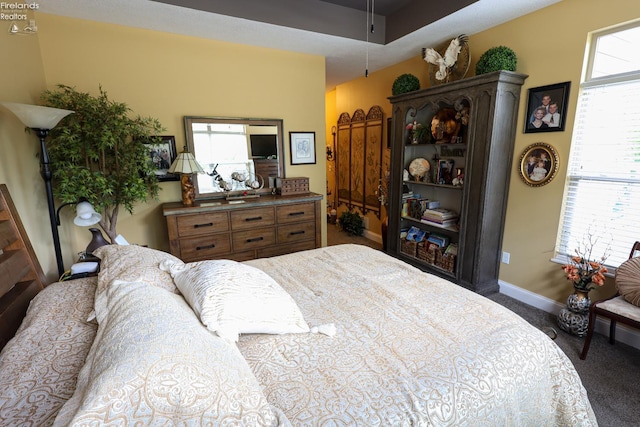 3826 Windsor Bridge Cir, Huron, OH 44839 - carpeted bedroom featuring baseboards