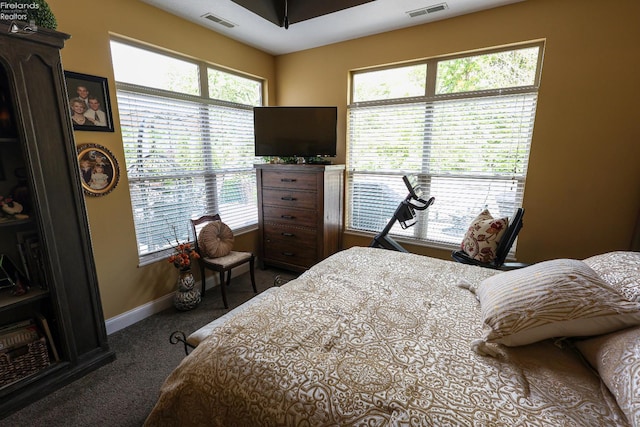 3826 Windsor Bridge Cir, Huron, OH 44839 - bedroom featuring carpet flooring and baseboards
