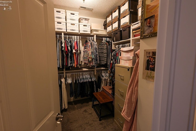 3826 Windsor Bridge Cir, Huron, OH 44839 - spacious closet with carpet