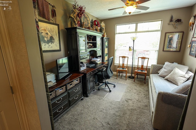 3826 Windsor Bridge Cir, Huron, OH 44839 - office space featuring a ceiling fan, light carpet, and a textured ceiling