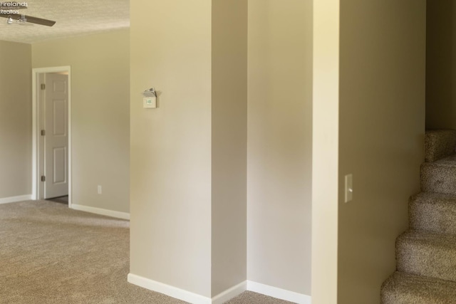 15 Abbott St, Wakeman, OH 44889 - staircase with carpet flooring and baseboards