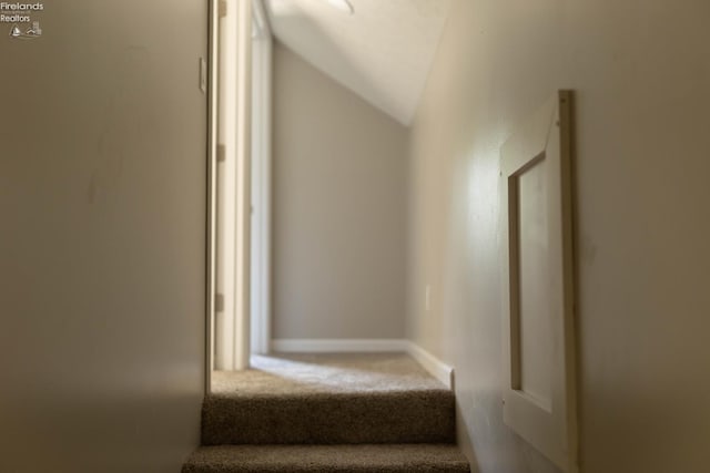15 Abbott St, Wakeman, OH 44889 - stairway featuring lofted ceiling and carpet
