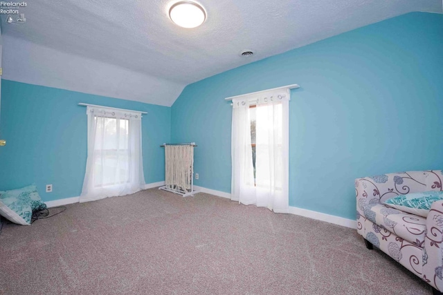 4647 Crk 175, Clyde, OH 43410 - unfurnished bedroom with lofted ceiling, a textured ceiling, and carpet floors