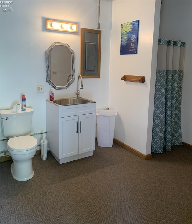 37 State Route 60, New London, OH 44851 - bathroom featuring vanity, a shower with shower curtain, and carpet floors