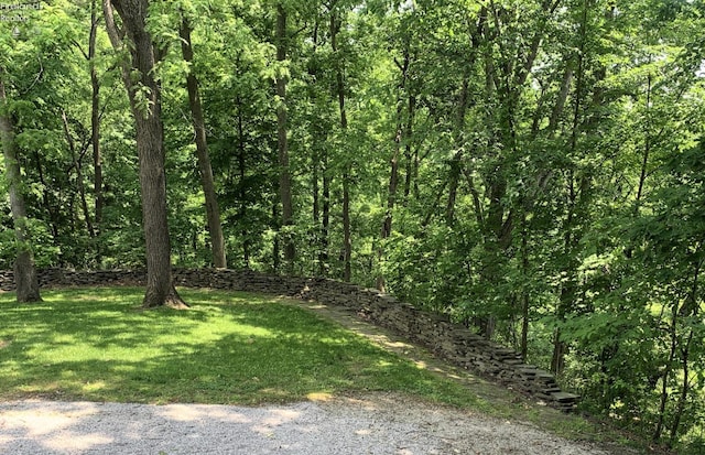 37 State Route 60, New London, OH 44851 - view of green lawn with a wooded view