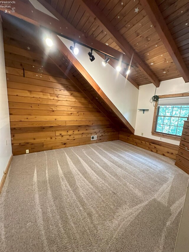 37 State Route 60, New London, OH 44851 - bonus room with wood walls, wooden ceiling, and carpet