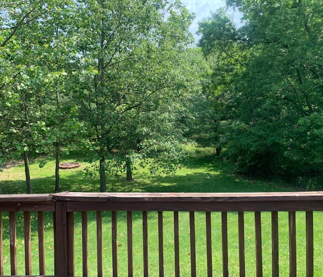 37 State Route 60, New London, OH 44851 - view of green lawn