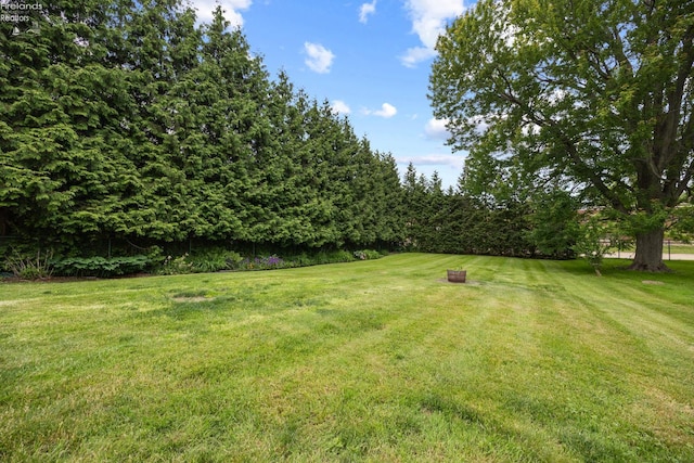 46320 Middle Ridge Rd, Amherst, OH 44001 - view of green lawn