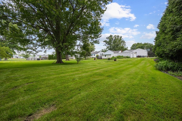 46320 Middle Ridge Rd, Amherst, OH 44001 - view of grassy yard