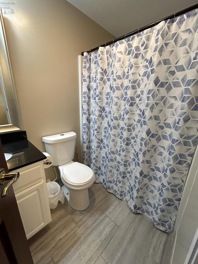 400 Swartz Ln Unit Y306, Middle Bass Island, OH 43446 - full bathroom with wood finished floors, vanity, and a shower with shower curtain