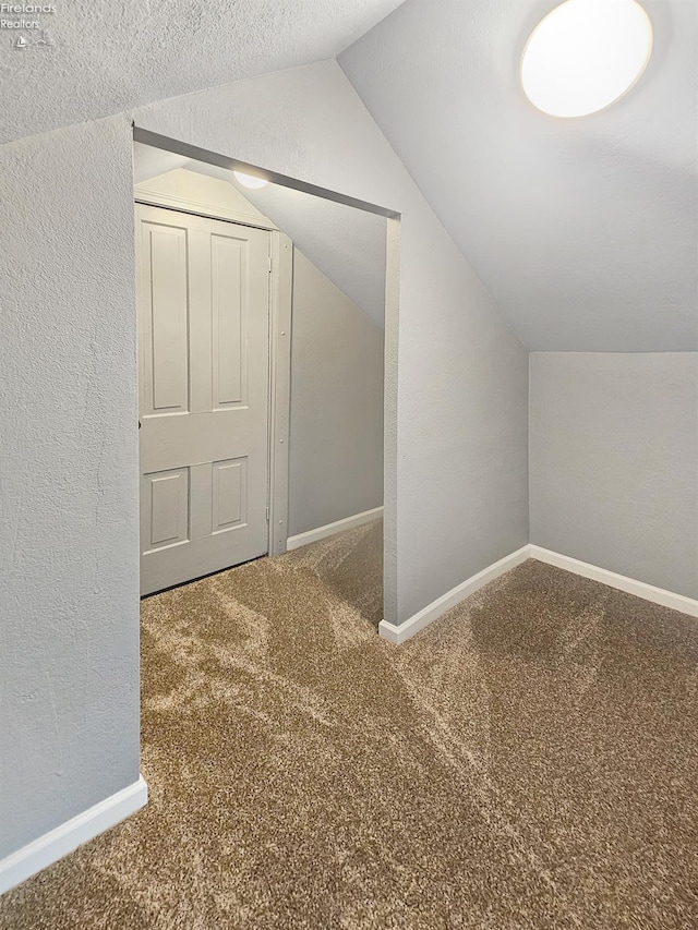 217 Ott St, Clyde, OH 43410 - additional living space with lofted ceiling, carpet floors, and a textured wall