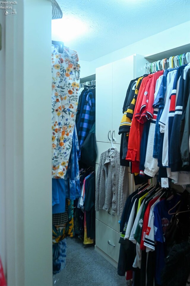 423 Leisure Dr, Huron, OH 44839 - walk in closet featuring carpet floors