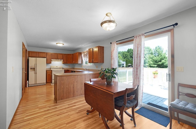 408 Forest St, Lagrange, OH 44050 - kitchen with white appliances, a peninsula, light wood-type flooring, and under cabinet range hood