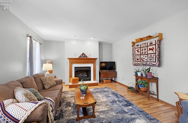 408 Forest St, Lagrange, OH 44050 - living room with light wood-style flooring and a premium fireplace