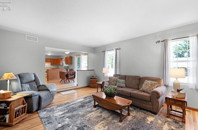 408 Forest St, Lagrange, OH 44050 - living area with light wood-style floors