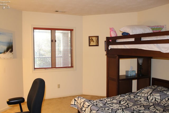 1507 Cleveland Rd Unit 423, Huron, OH 44839 - bedroom featuring carpet floors