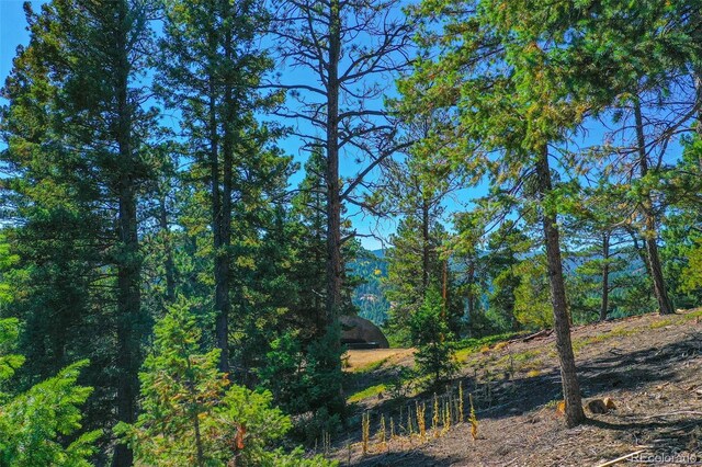 14059 Blue Jay Ln, Larkspur, CO 80118 - photo 25