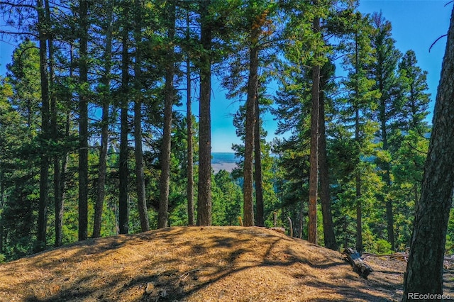 14059 Blue Jay Ln, Larkspur, CO 80118 - photo 26