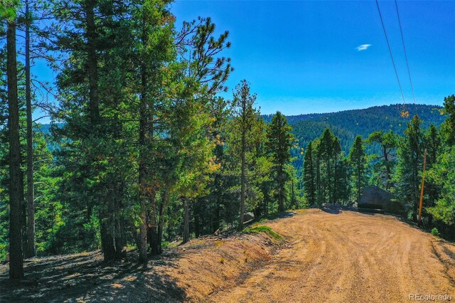 14059 Blue Jay Ln, Larkspur, CO 80118 - photo 27