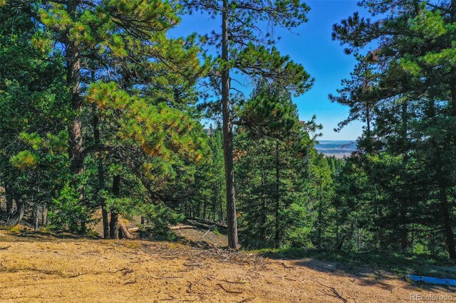 14059 Blue Jay Ln, Larkspur, CO 80118 - photo 28