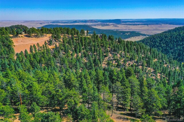 14059 Blue Jay Ln, Larkspur, CO 80118 - photo 29