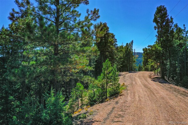 14059 Blue Jay Ln, Larkspur, CO 80118 - photo 31