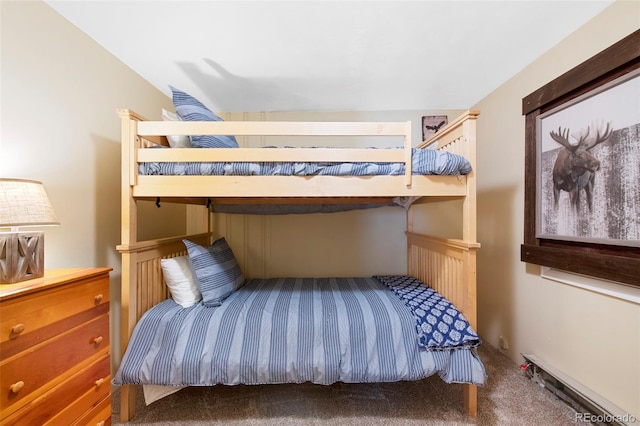 626 Aspen Ln, Bailey, CO 80421 - photo 13