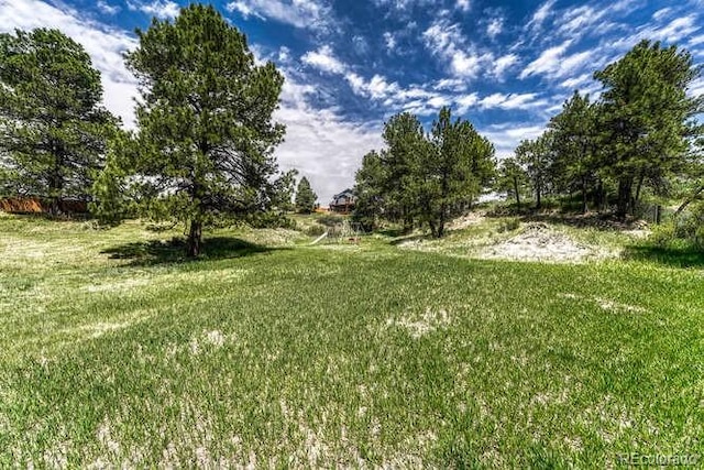 10534 Inspiration Dr, Parker, CO 80138 - photo 48