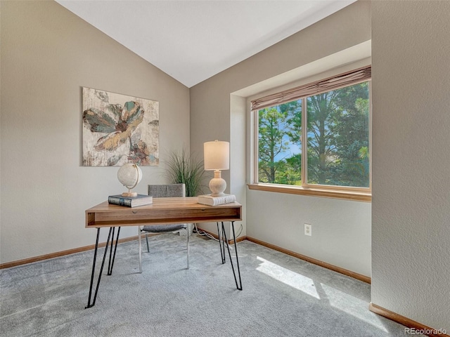 10534 Inspiration Dr, Parker, CO 80138 - photo 19
