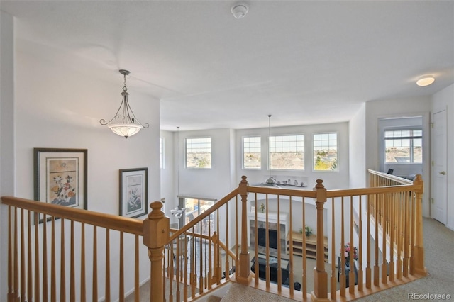 staircase featuring a wealth of natural light