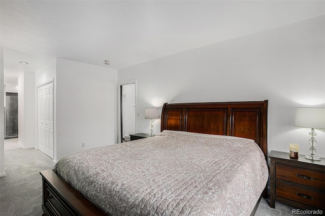403 Captains Ct, Fort Collins, CO 80524 - bedroom with light carpet and a closet