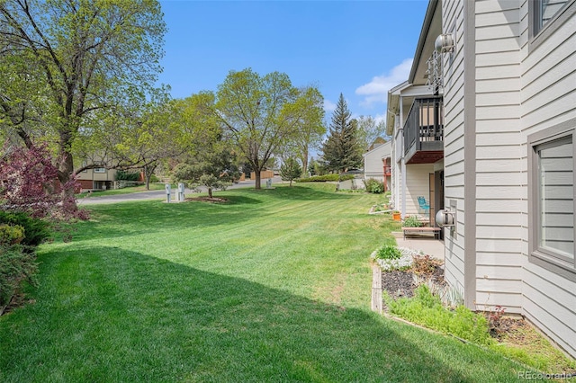 403 Captains Ct, Fort Collins, CO 80524 - view of grassy yard