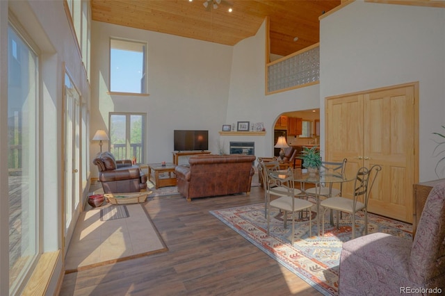 living room with high vaulted ceiling, wooden ceiling, hardwood / wood-style flooring, and a fireplace